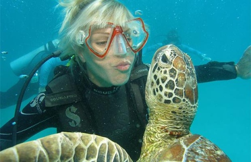 Hot Girls Scuba Diving (45 pics)