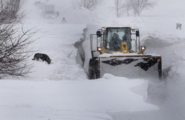 Romanian Village Under Snow (33 pics)