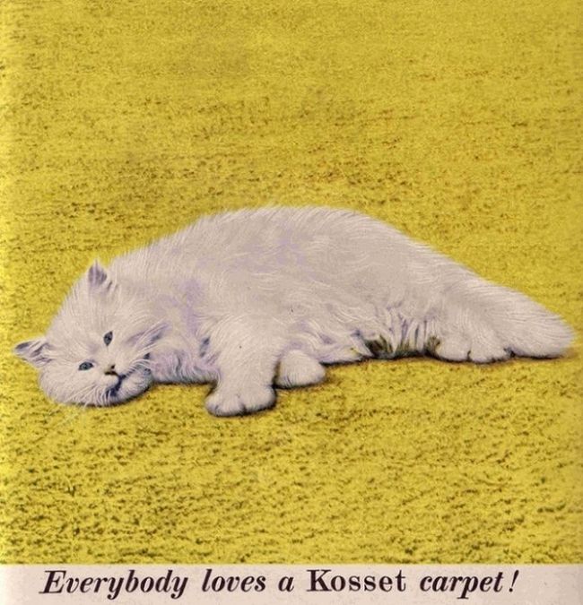 Vintage Cat Advertisements (21 pics)