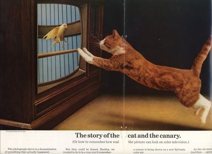 Vintage Cat Advertisements (21 pics)