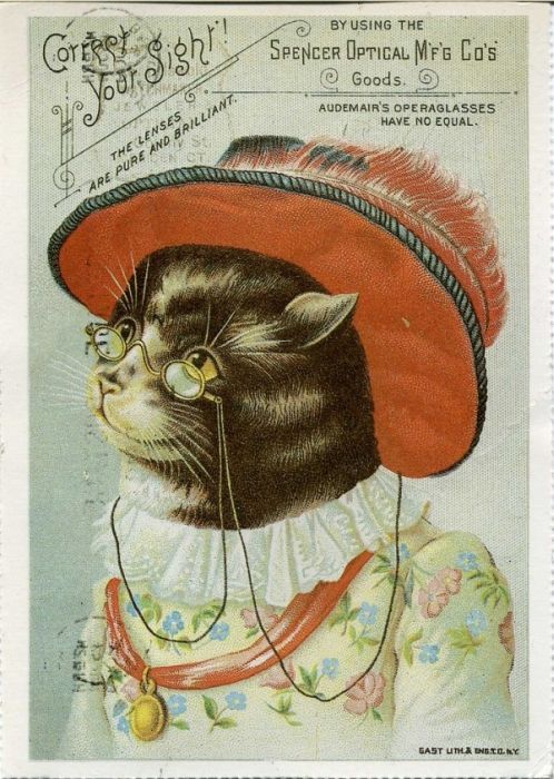 Vintage Cat Advertisements (21 pics)