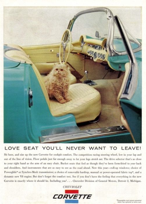 Vintage Cat Advertisements (21 pics)