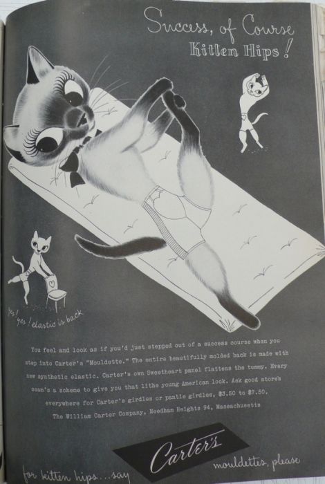 Vintage Cat Advertisements (21 pics)