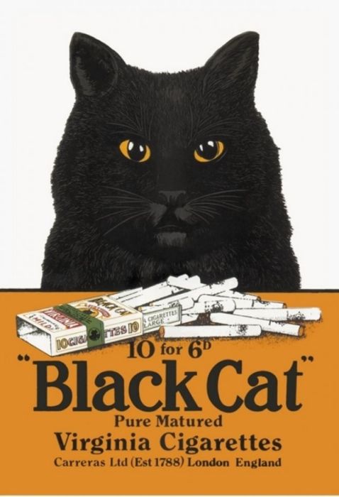 Vintage Cat Advertisements (21 pics)