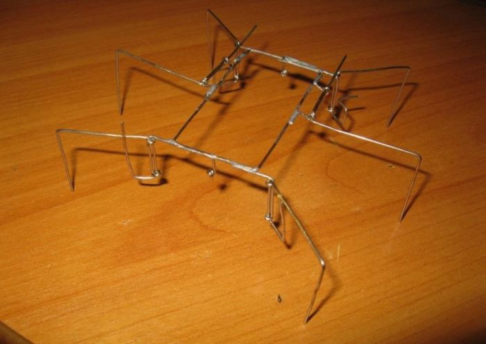 DIY Beetle (18 pics + video)