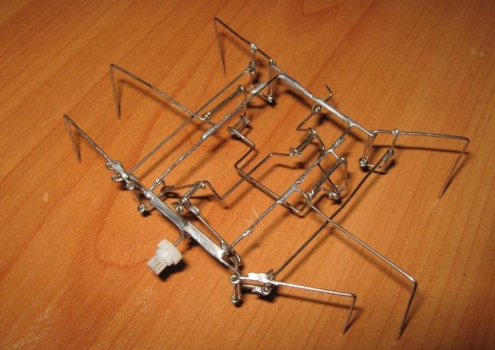 DIY Beetle (18 pics + video)