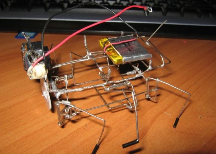 DIY Beetle (18 pics + video)