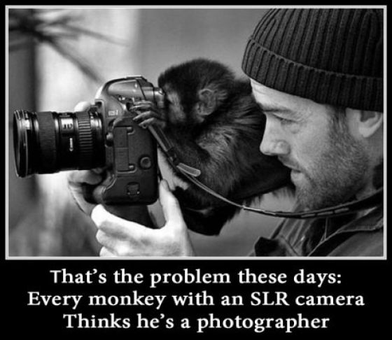 Funny Demotivational Posters (33 pics)
