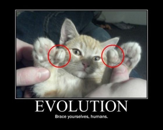 Funny Demotivational Posters (33 pics)