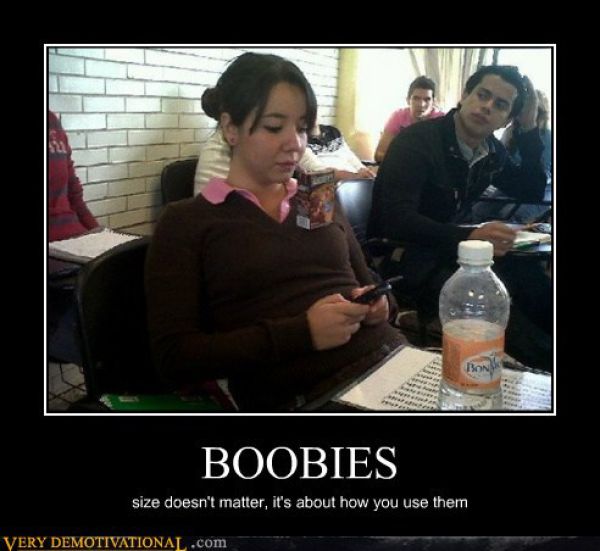Funny Demotivational Posters (33 pics)
