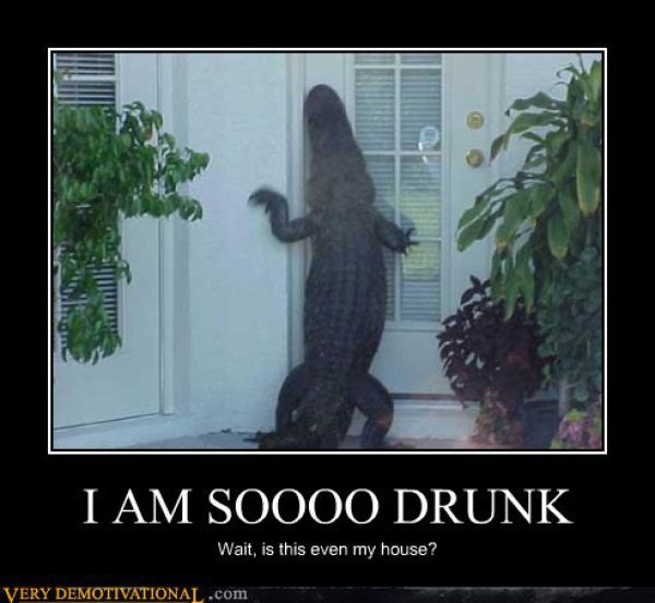 Funny Demotivational Posters (33 pics)