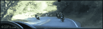 Lucky People (18 gifs)
