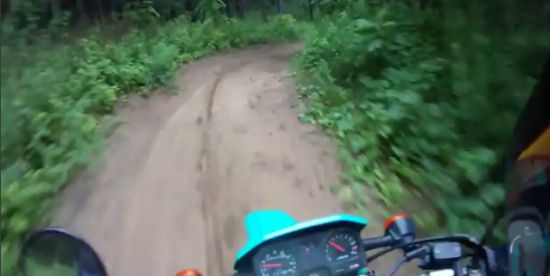 Crazy Forest Race WIN