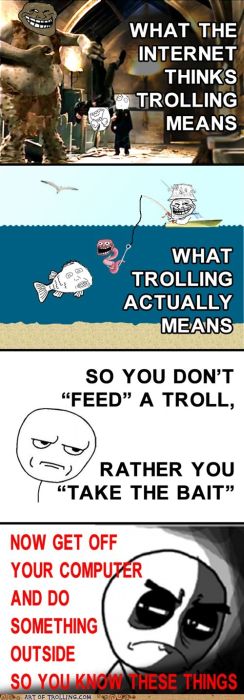 Art of Trolling (62 pics)