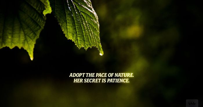 Quotes and Pieces of Advice. Part 4 (67 pics)