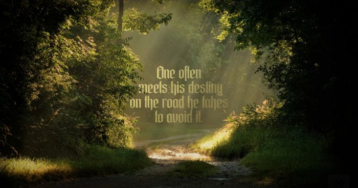 Quotes and Pieces of Advice. Part 4 (67 pics)