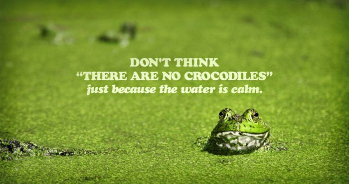 Quotes and Pieces of Advice. Part 4 (67 pics)