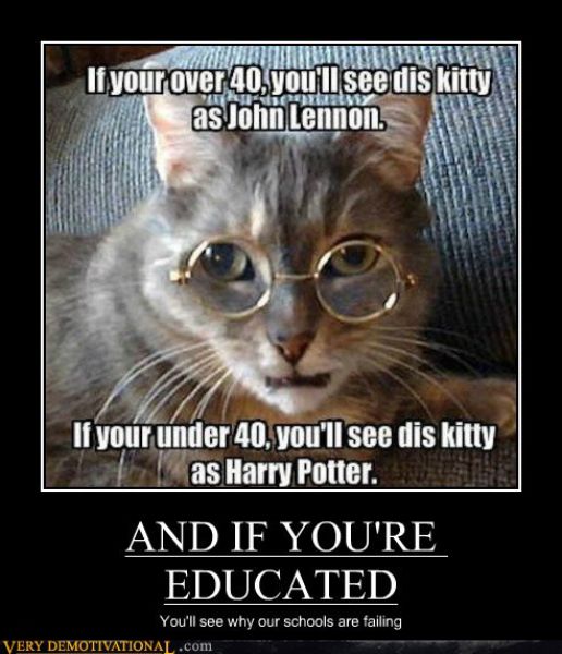 Image result for cat jokes harry potter