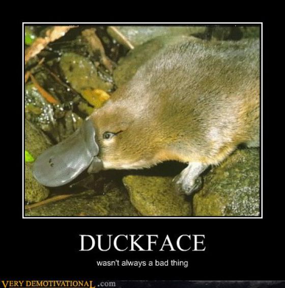 Funny Demotivational Posters (33 pics)