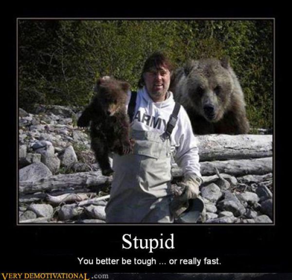 Funny Demotivational Posters (33 pics)