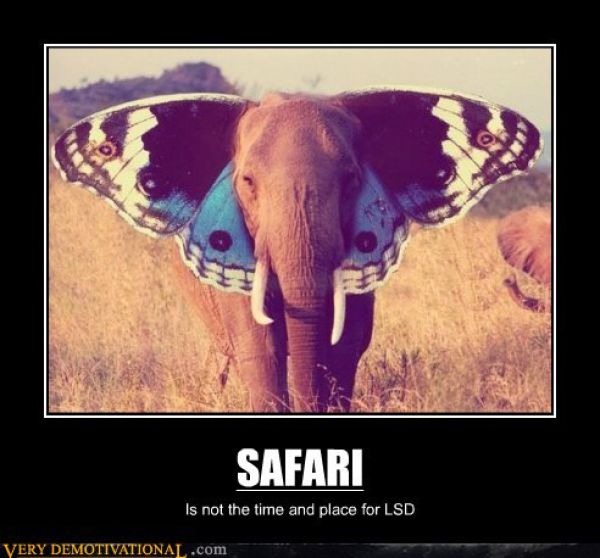 Funny Demotivational Posters (32 pics)