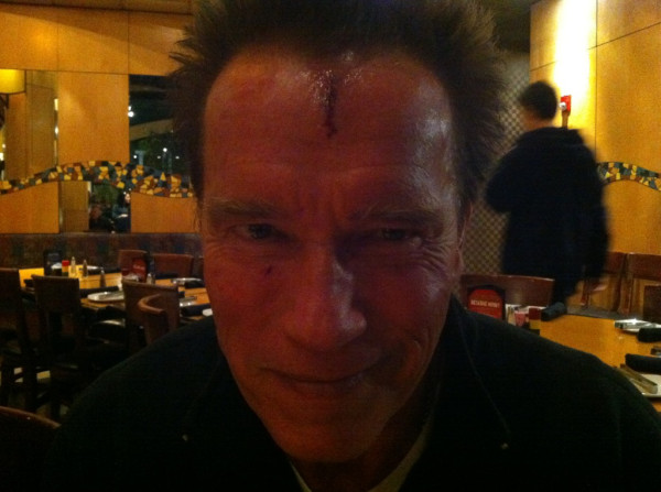 Arnold Schwarzenegger Twitpics (35 pics)