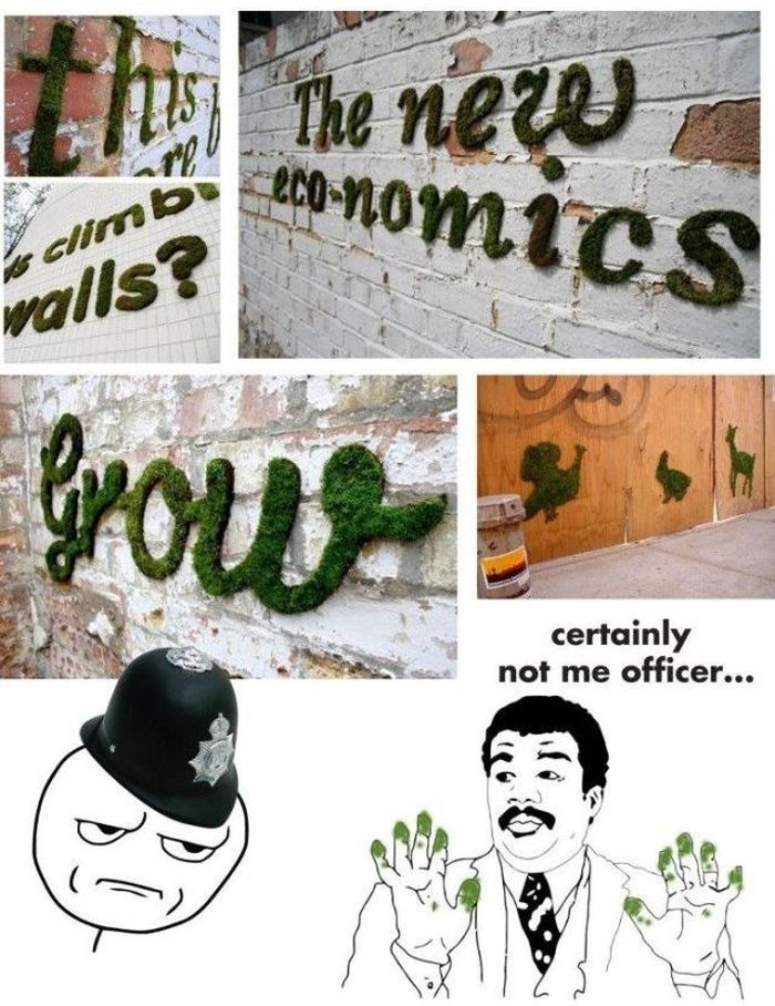 How to Make Moss Graffiti (9 pics)