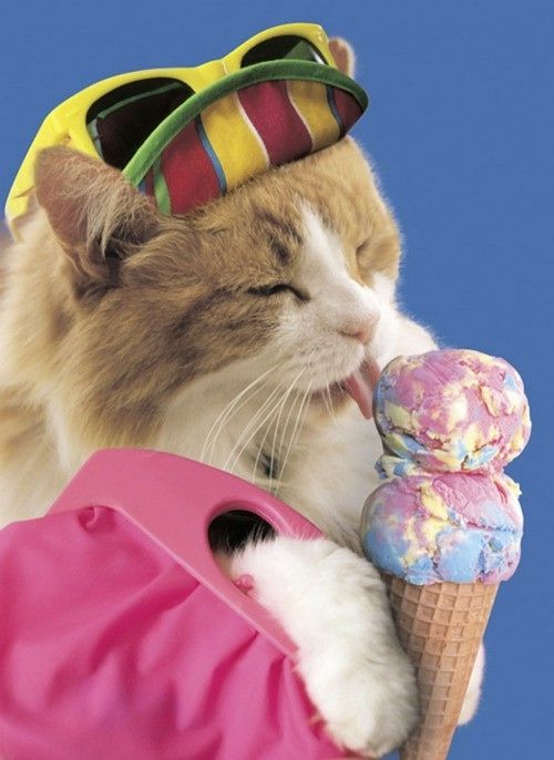 Pictures That Perfectly Capture The '90s (48 pics) Pictures That Perfectly Capture The '90s (48 pics)
