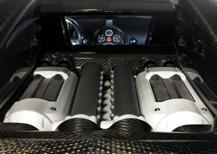 Mansory Bugatti Veyron (14 pics)