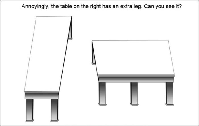 Kick Butt Optical Illusions (10 pics)