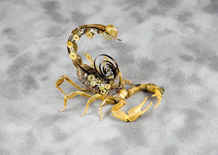 Steampunk Insects (27 pics)