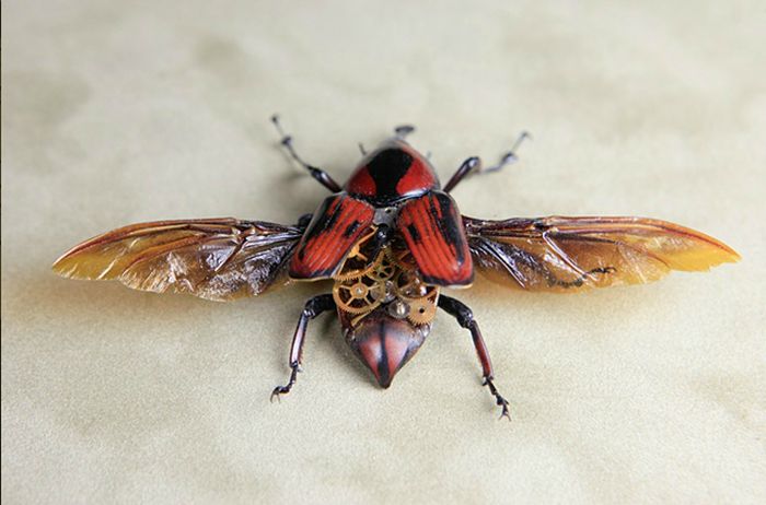 Steampunk Insects (27 pics)