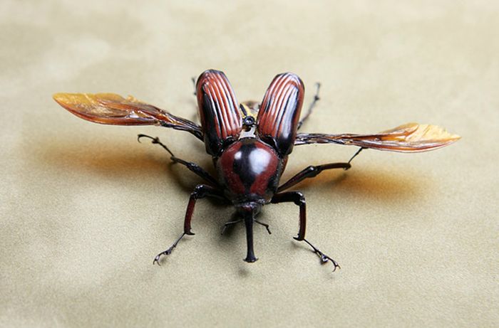 Steampunk Insects (27 pics)