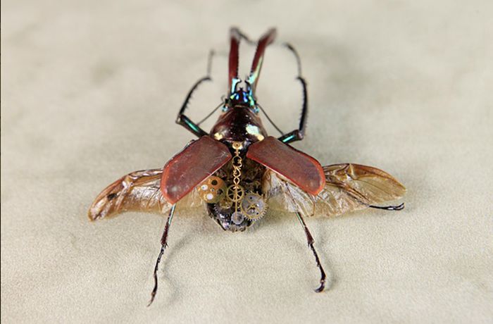 Steampunk Insects (27 pics)