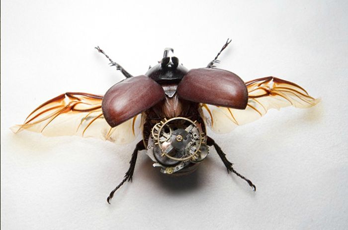 Steampunk Insects (27 pics)