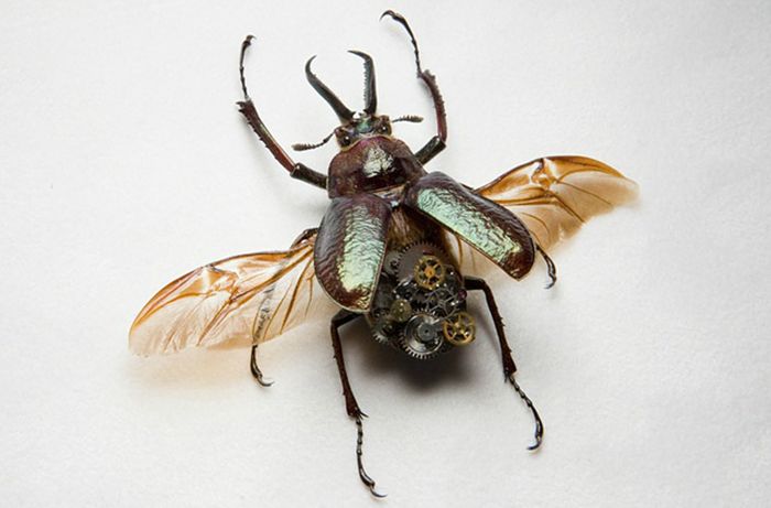 Steampunk Insects (27 pics)