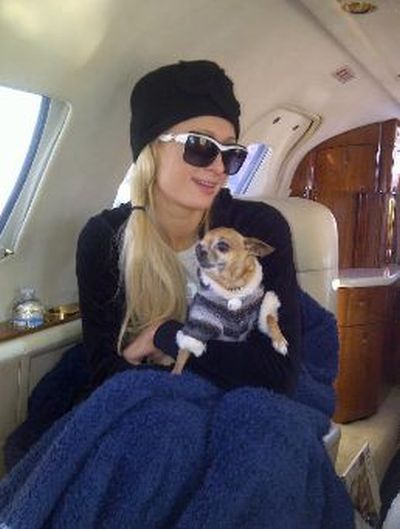 Paris Hilton Twitpics (40 pics)