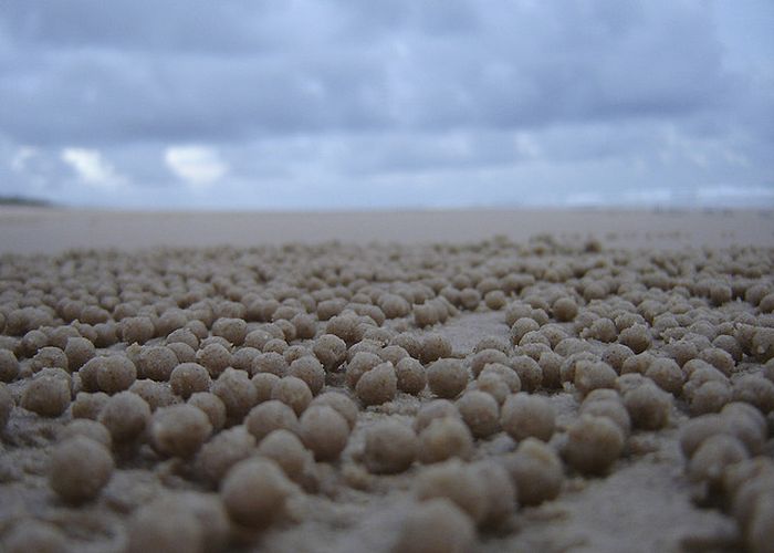 The Crabs that Build Their Own Galaxy (20 pics)