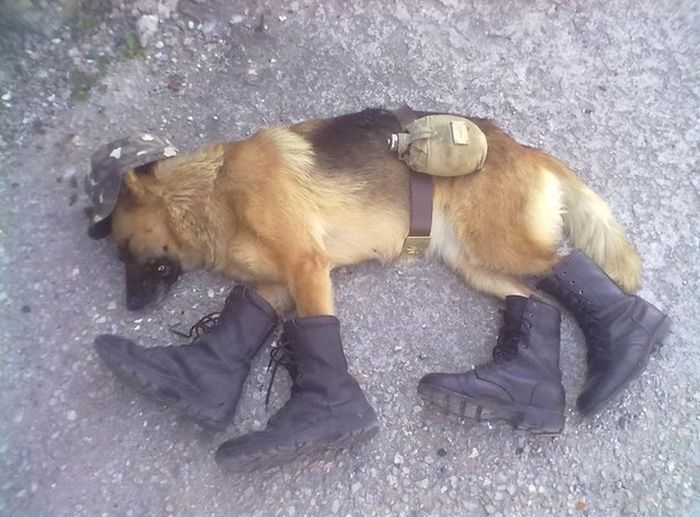 Acid Picdump (128 pics)