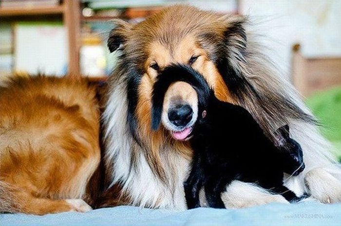 Acid Picdump (128 pics)