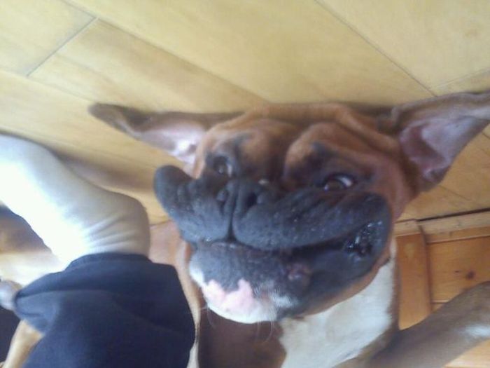 Acid Picdump (128 pics)