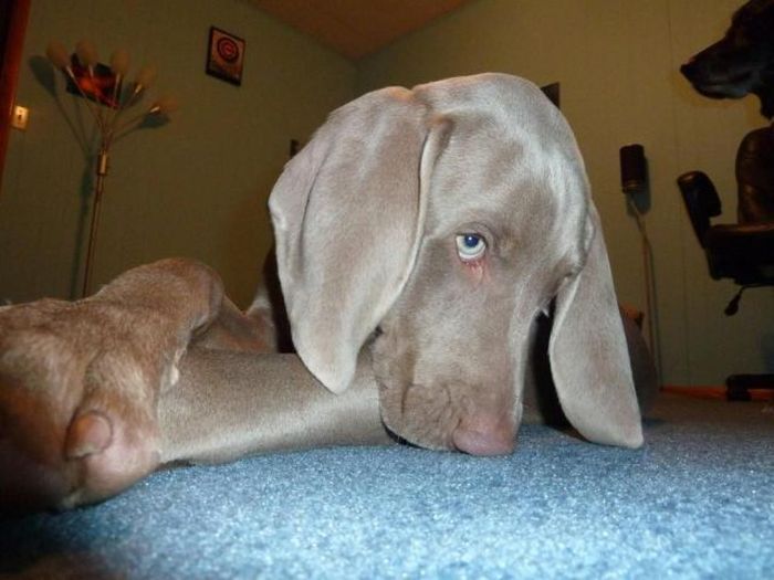 Acid Picdump (128 pics)