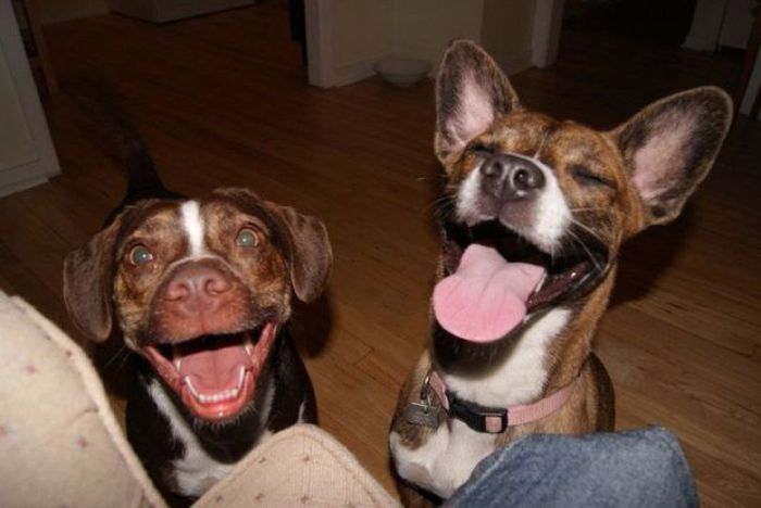 Acid Picdump (128 pics)