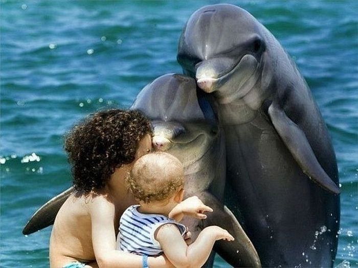 Acid Picdump (128 pics)