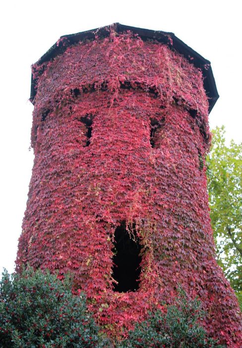 Acid Picdump (128 pics)