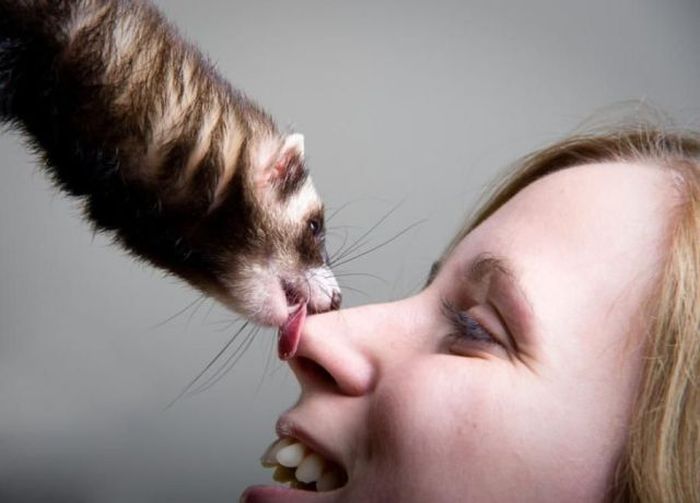 Acid Picdump (128 pics)