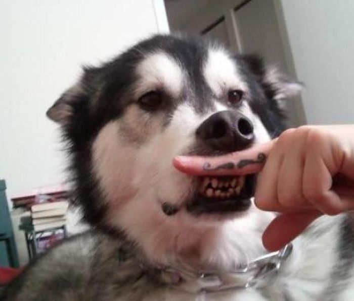 Acid Picdump (128 pics)
