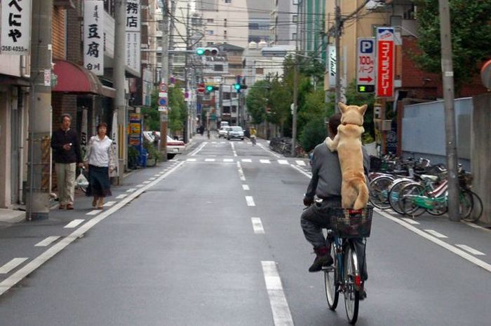 Acid Picdump (128 pics)