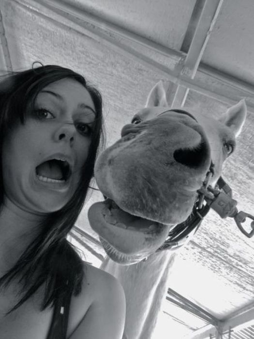Acid Picdump (128 pics)