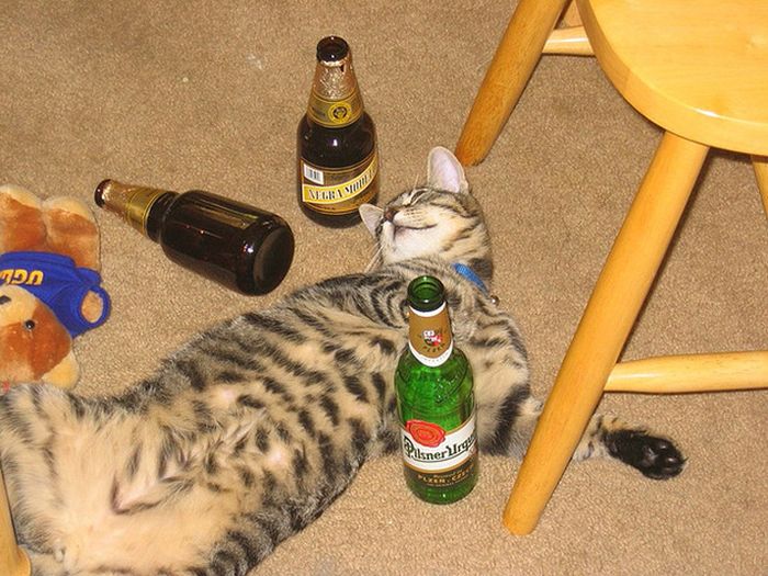 Acid Picdump (128 pics)
